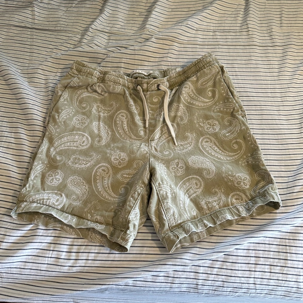 Pacsun Shorts